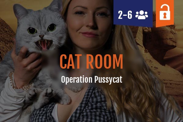 Cat Room escape room Leipzig