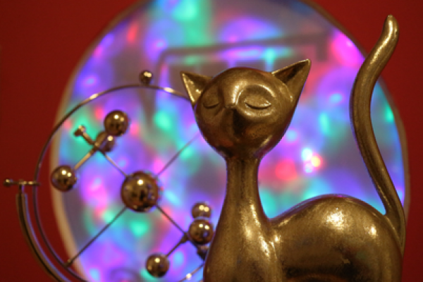 Operation Pussycat, image 3