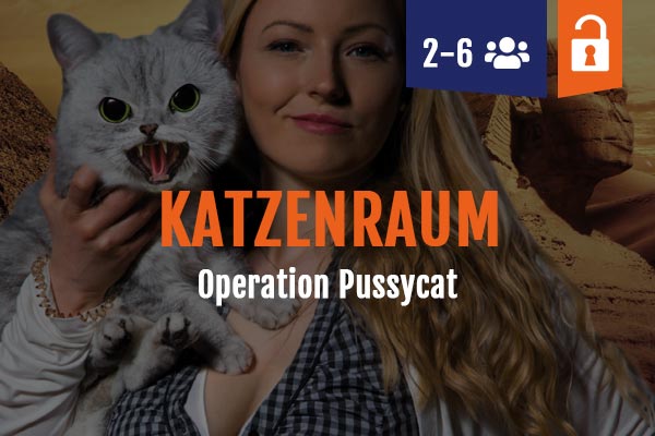 Katzenraum Escape Room Leipzig