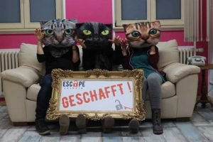 Katzen Escape Room